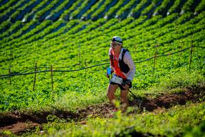 BIB: 223
                            <button type="button" onclick="openModal(19160477)" class="btn btn-primary btn-sm float-right btn-popup" data-toggle="modal" data-target=".modal-high-quality">
                        <i class="fas fa-shopping-cart"></i> Add to Cart
                    </button>
                                            <button type="button" onclick="isThisMe(19160477, true)" class="btn btn-success btn-sm float-right btn-popup btn-isme hidden" data-toggle="tooltip" data-placement="bottom" title="นี่คือรูปของคุณใช่ไหม คลิกที่นี่เพื่อเอาเข้าอัลบั้ม">
                        <i class="fas fa-plus"></i> Add to album
                    </button>
                    <button type="button" onclick="isThisMe(19160477, false)" class="btn btn-warning btn-sm float-right btn-popup btn-isnotme hidden">
                        <i class="fas fa-ban"></i> Remove from album
                    </button>